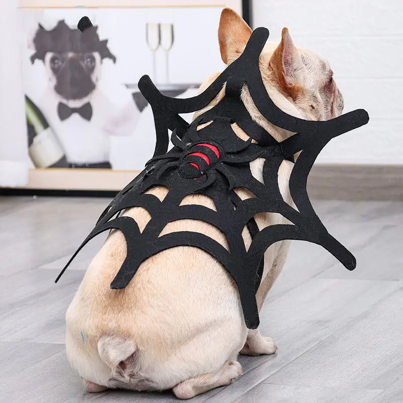 Halloween Cat and Dog Spider Web Costume Set
