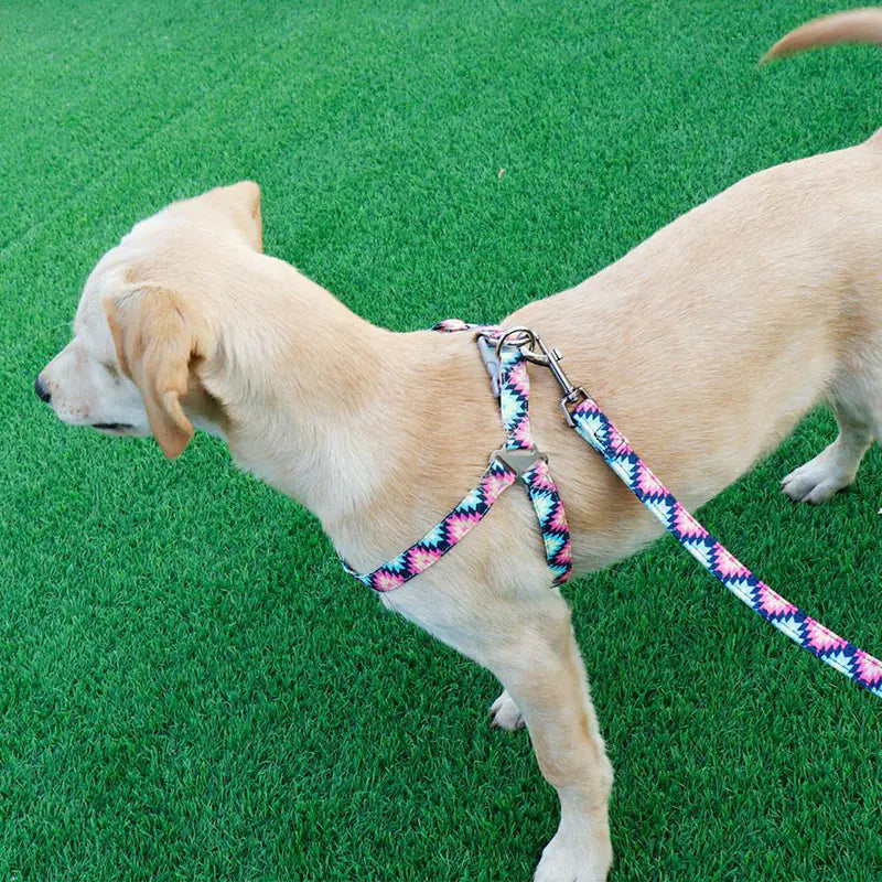 Pet Colorful Collar Vest Harness with Leash for Dogs