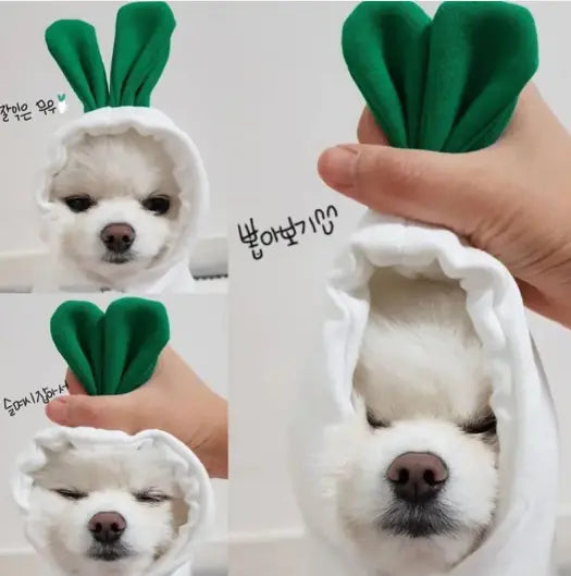 So Cute! Dog Cat Costumes Pet Clothes Kawaii Apple Carrot Frog