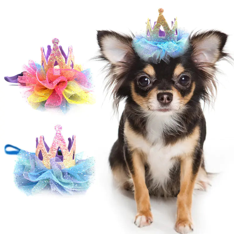 Pop of Color Pet Birthday Hat with Glitter Crown for Dogs and Cats