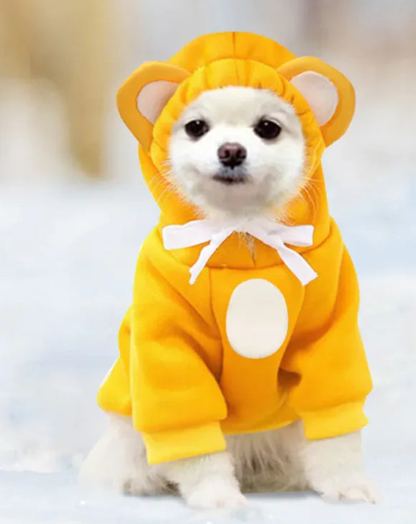 Pop of Color Pet Hoodies