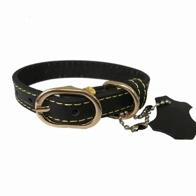 Pop of Color Cowhide Leather Pet Collar for Dogs or Cats