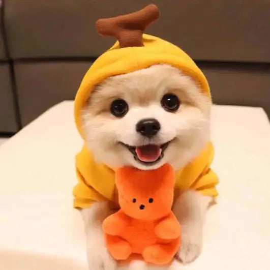 So Cute! Dog Cat Costumes Pet Clothes Kawaii Apple Carrot Frog