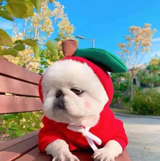 So Cute! Dog Cat Costumes Pet Clothes Kawaii Apple Carrot Frog