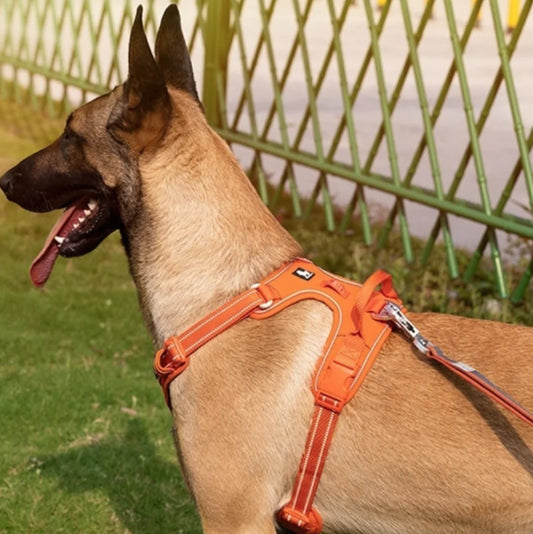 Reflective Dog Harness with Leash Set Choose your Color
