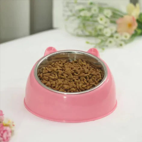 Pop of Color Double Stainless Steel Pet Bowl