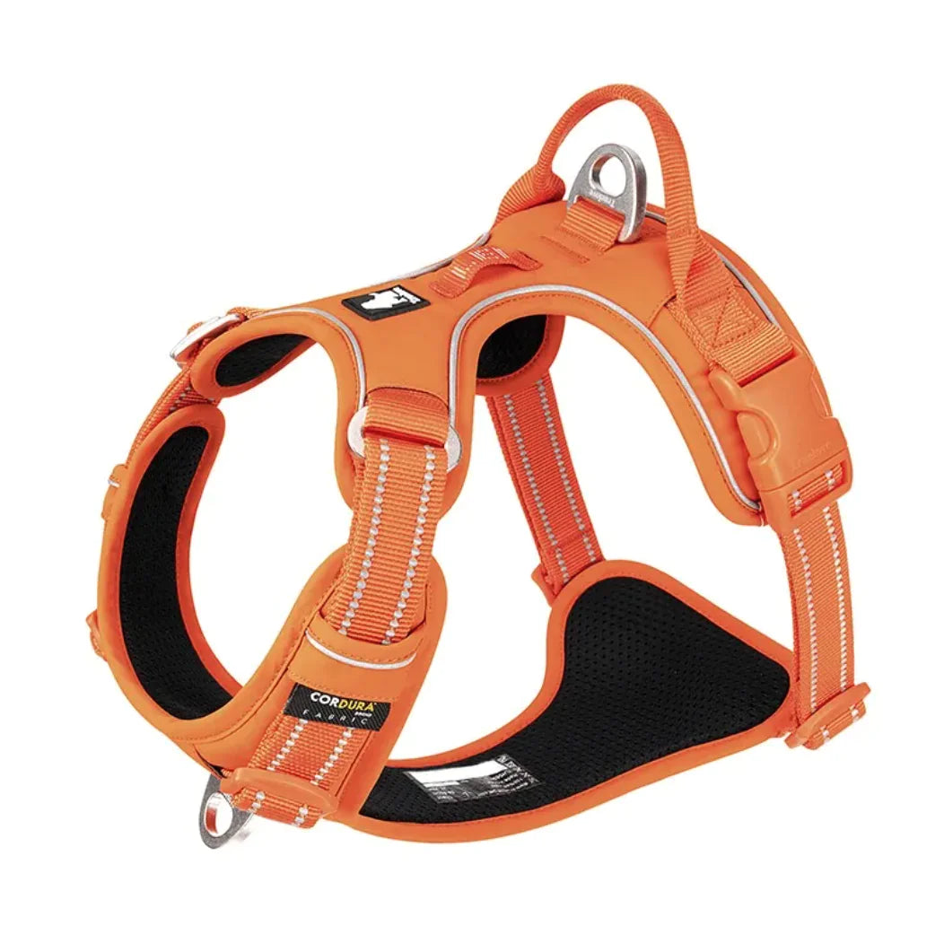 Reflective Dog Harness with Leash Set Choose your Color