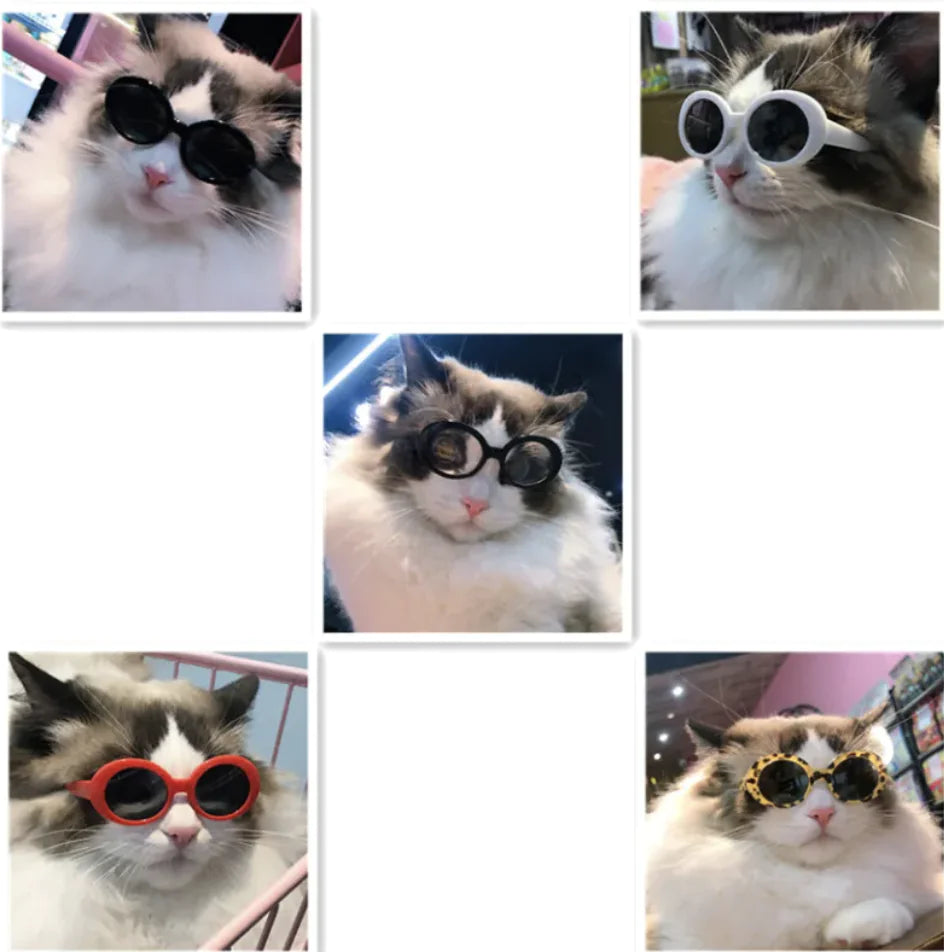 Pet Dog Cat Multi-Color Sunglasses Cool Glasses Fun Accessories