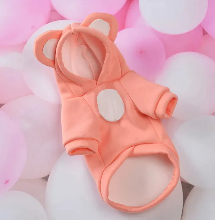Pop of Color Pet Hoodies