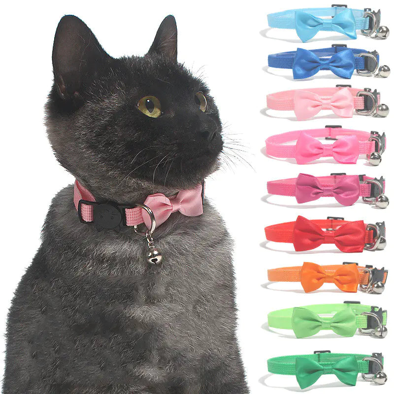 Pop of Color Nylon Pet Collar with Bell and Bow Design