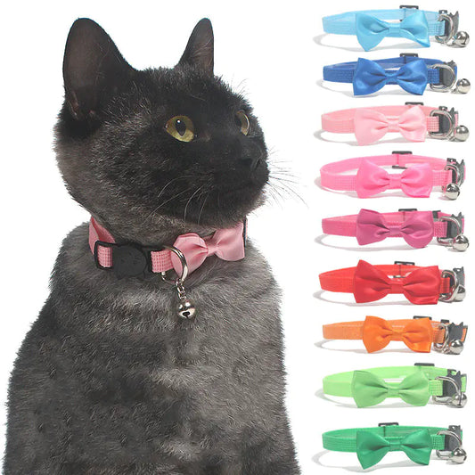 Pop of Color Nylon Pet Collar with Bell and Bow Design