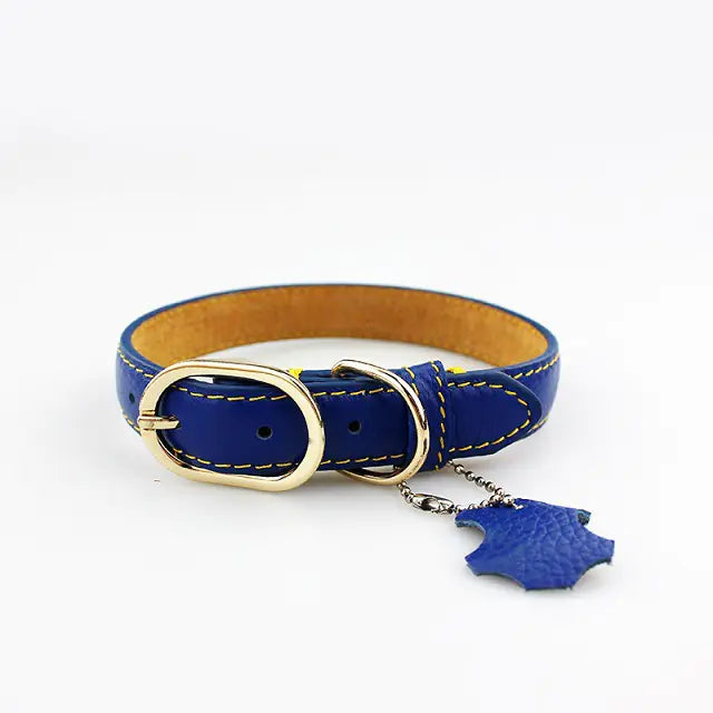 Pop of Color Cowhide Leather Pet Collar for Dogs or Cats