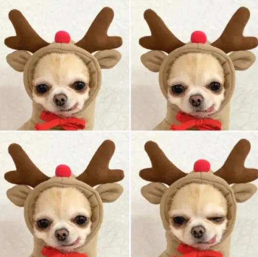 So Cute! Dog Cat Costumes Pet Clothes Kawaii Apple Carrot Frog