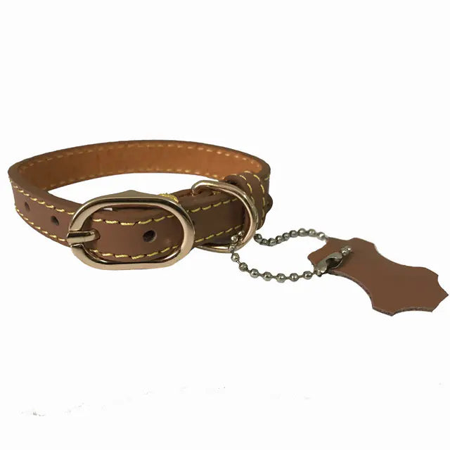 Pop of Color Cowhide Leather Pet Collar for Dogs or Cats