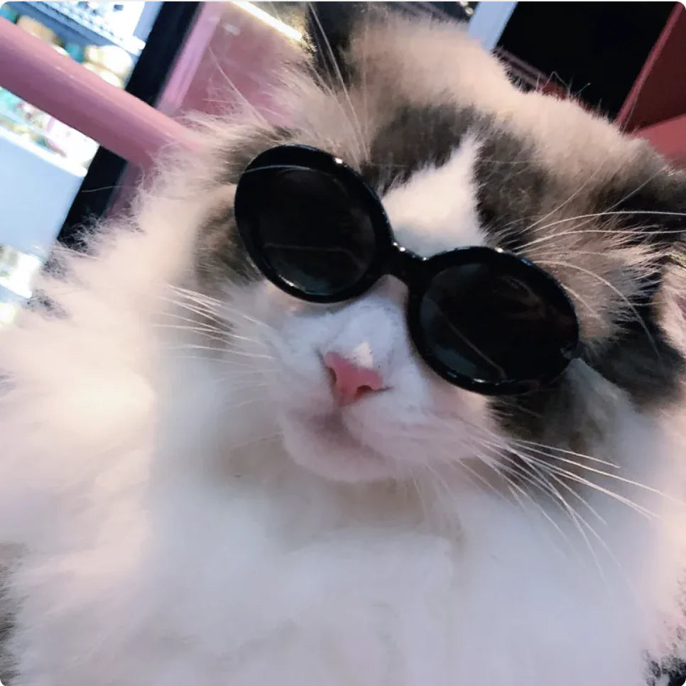Pet Dog Cat Multi-Color Sunglasses Cool Glasses Fun Accessories