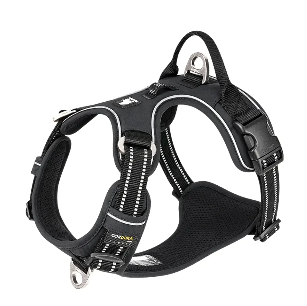 Reflective Dog Harness with Leash Set Choose your Color