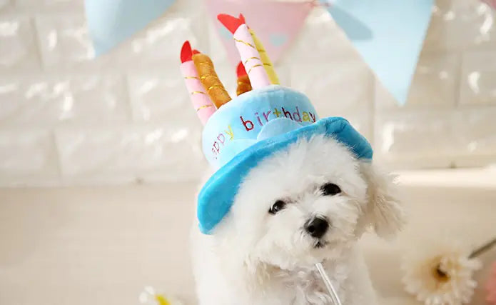 Pet Birthday Hat - Cute Dog or Cat Costume Birthday Cake Hat