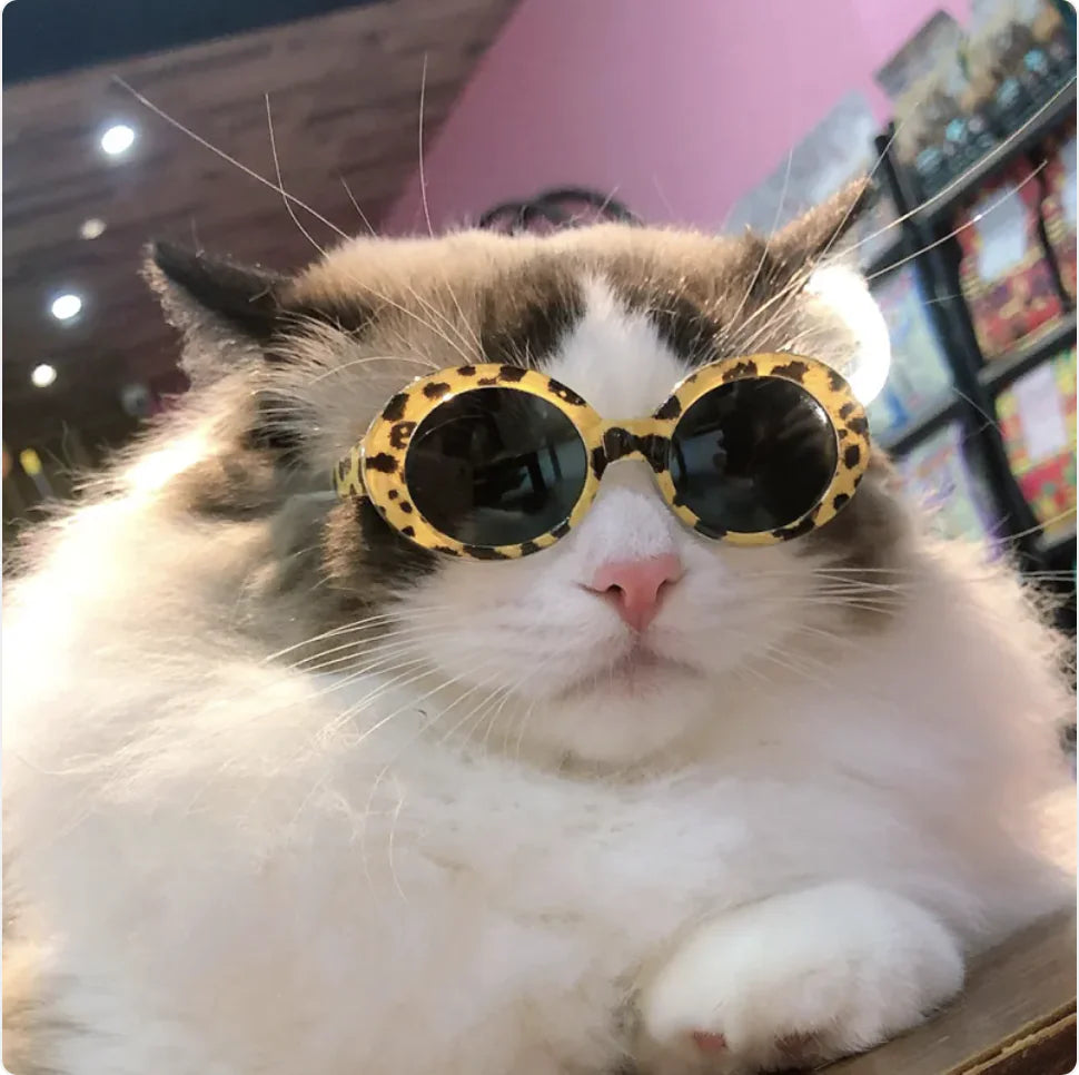 Pet Dog Cat Multi-Color Sunglasses Cool Glasses Fun Accessories