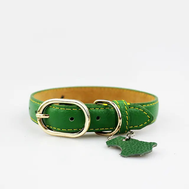 Pop of Color Cowhide Leather Pet Collar for Dogs or Cats