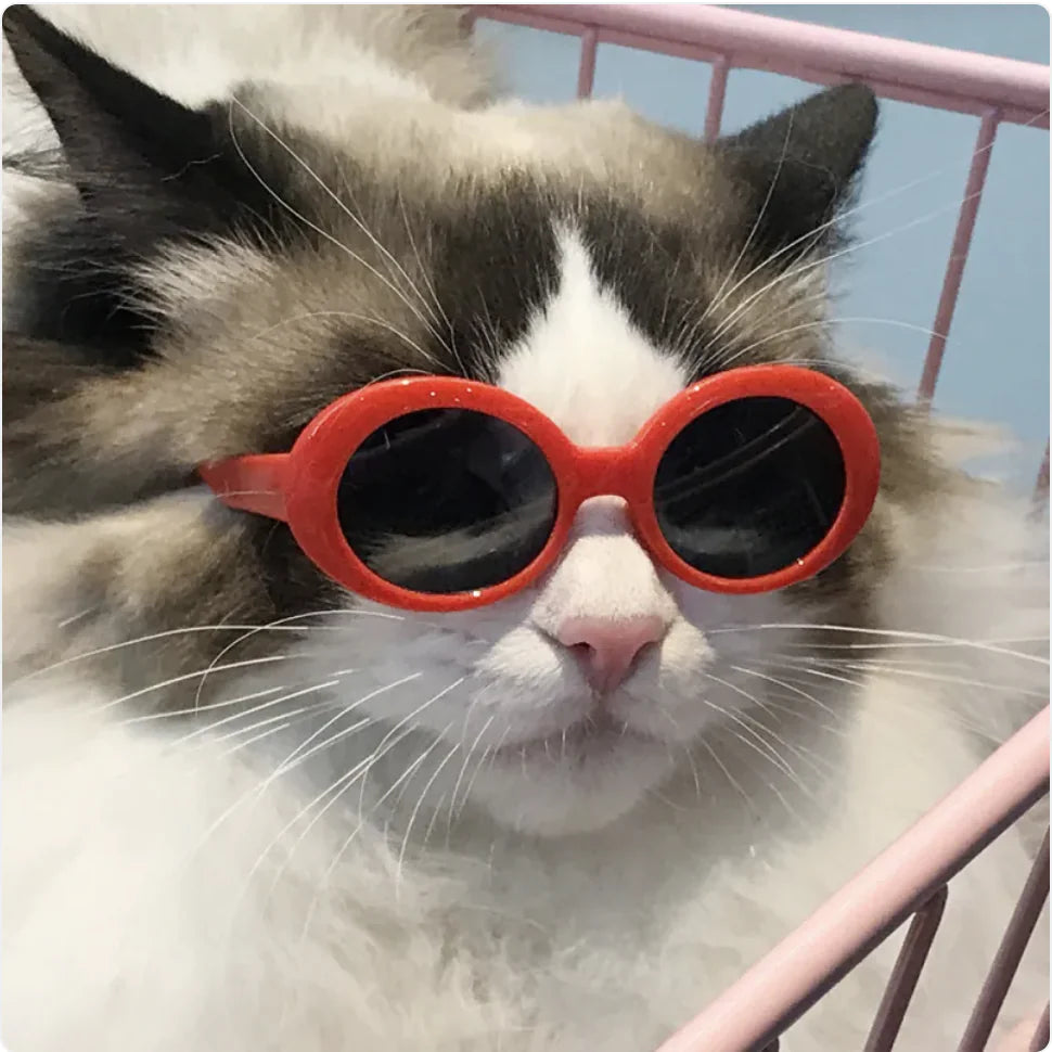 Pet Dog Cat Multi-Color Sunglasses Cool Glasses Fun Accessories