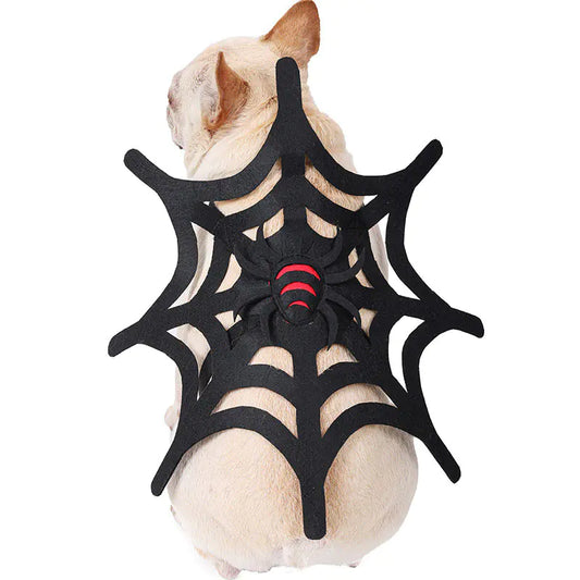 Halloween Cat and Dog Spider Web Costume Set