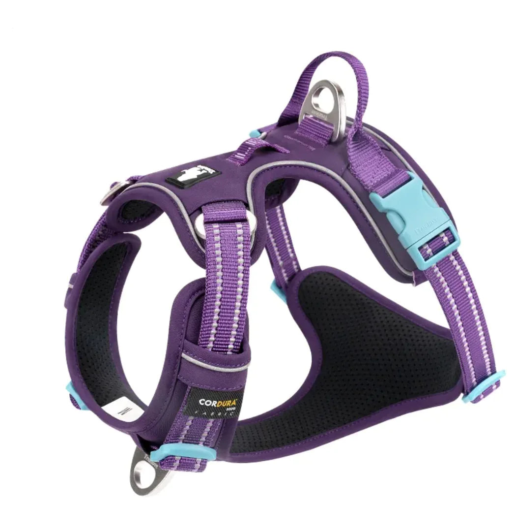 Reflective Dog Harness with Leash Set Choose your Color