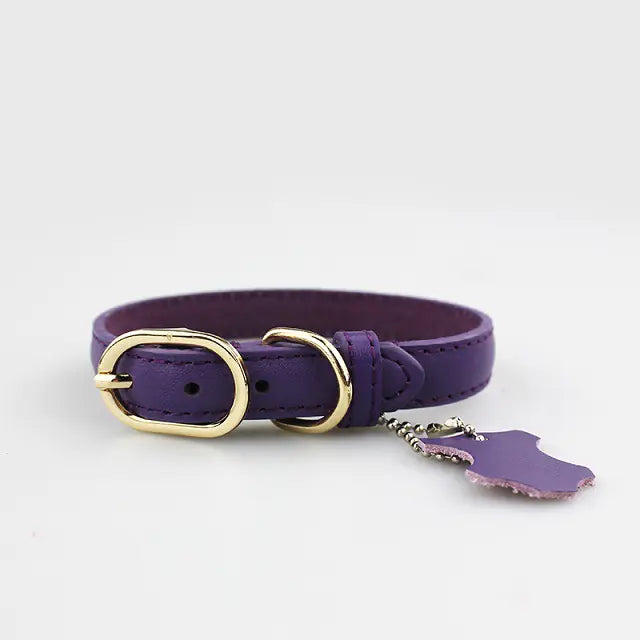 Pop of Color Cowhide Leather Pet Collar for Dogs or Cats