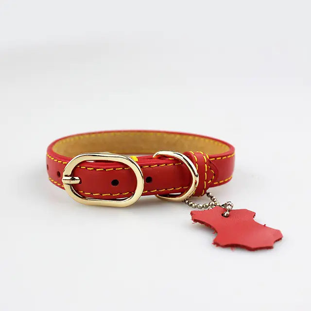 Pop of Color Cowhide Leather Pet Collar for Dogs or Cats