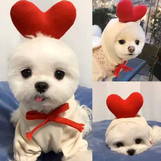 So Cute! Dog Cat Costumes Pet Clothes Kawaii Apple Carrot Frog
