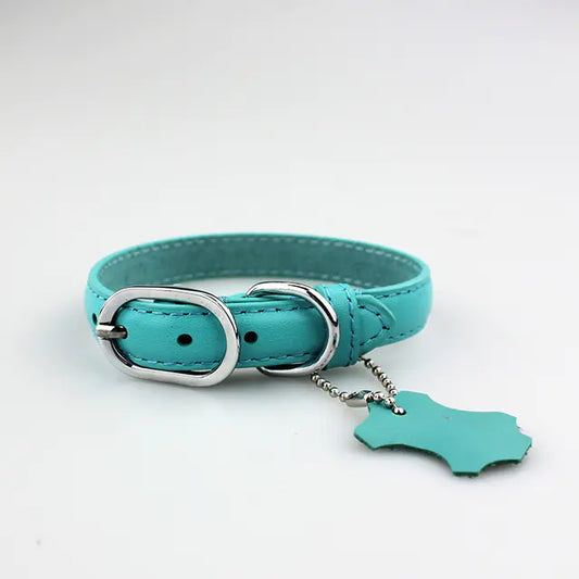 Pop of Color Cowhide Leather Pet Collar for Dogs or Cats