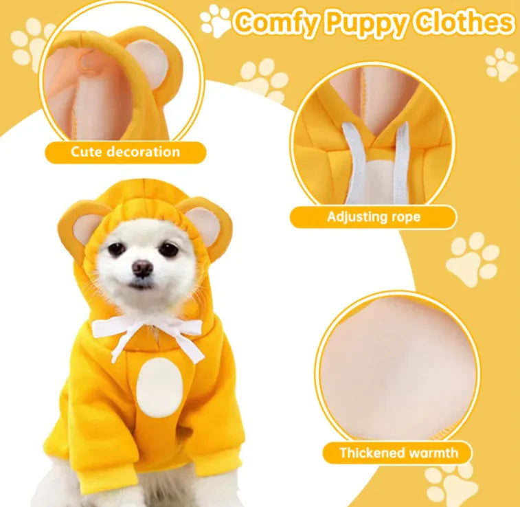 Pop of Color Pet Hoodies