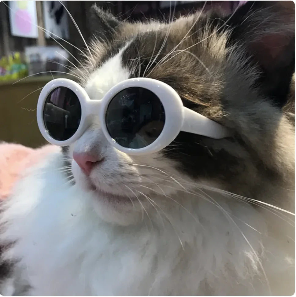 Pet Dog Cat Multi-Color Sunglasses Cool Glasses Fun Accessories