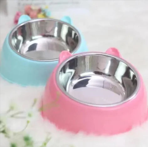 Pop of Color Double Stainless Steel Pet Bowl