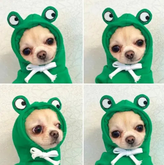 So Cute! Dog Cat Costumes Pet Clothes Kawaii Apple Carrot Frog